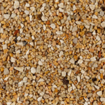 Petra Stone